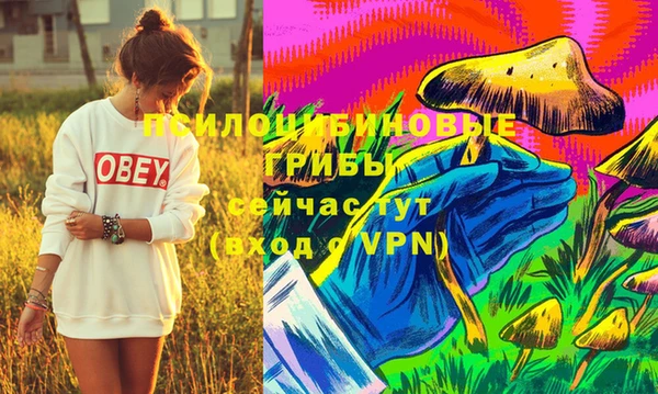 герыч Нея