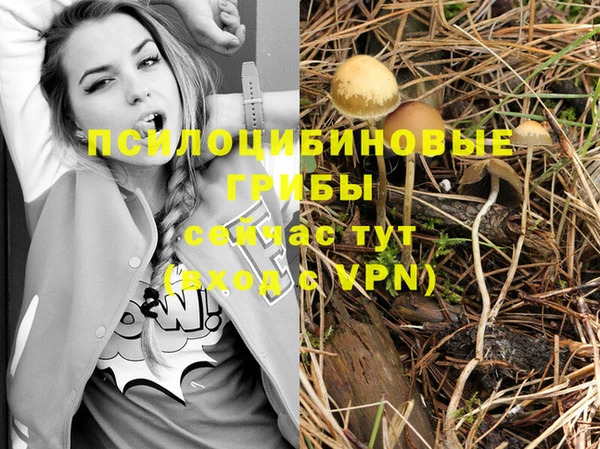 MESCALINE Надым