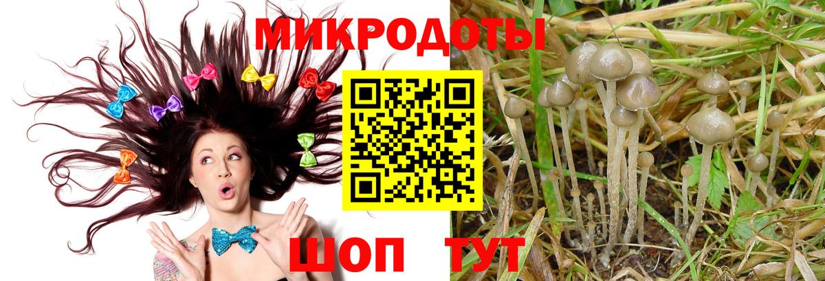 Галлюциногенные грибы мухоморы Альметьевск
